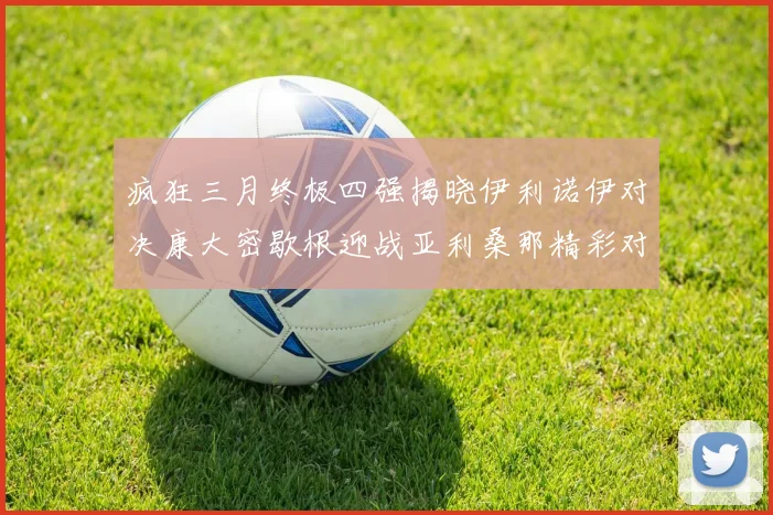 疯狂三月终极四强揭晓伊利诺伊对决康大密歇根迎战亚利桑那精彩对决即将上演